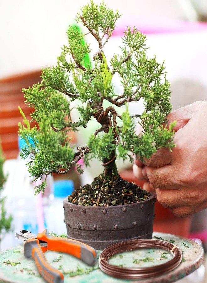 GloPRO سلك ألومنيوم مؤكسد من غلوبرو بونساي (سلك 2 مم، 10 أمتار) - Image 5